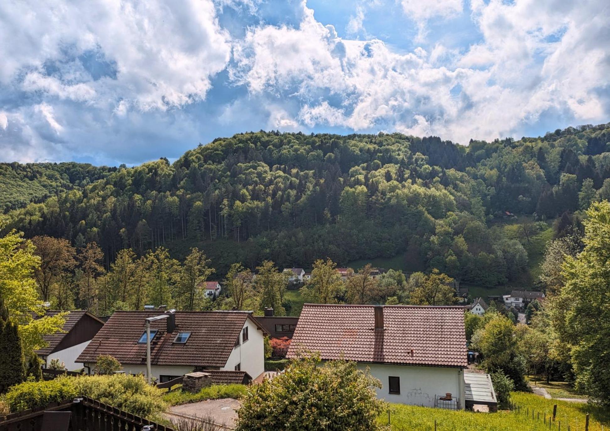 4 Zimmer Geraeumige Und Ruhig Gelegene Ferien- Und Monteurwohnung Nur Fuer Sie Allein Aujvari Vermietungen Spiegelberg Luaran gambar